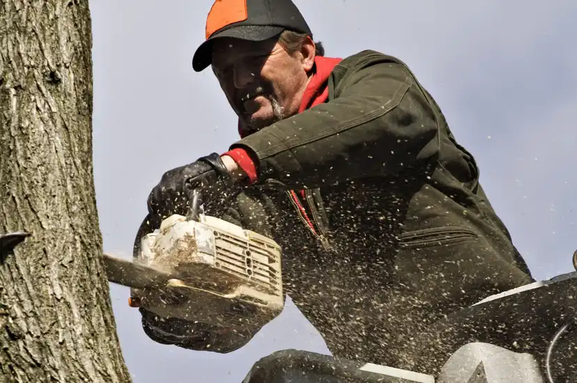 God's Blessing Junk Tree Removal Service's other services